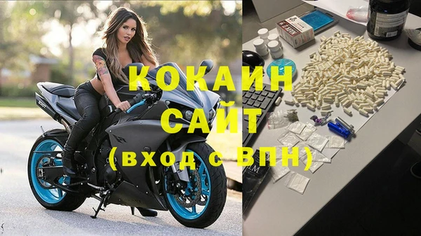 сатива Абинск