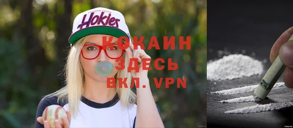 шишки Абдулино