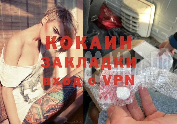 сатива Абинск