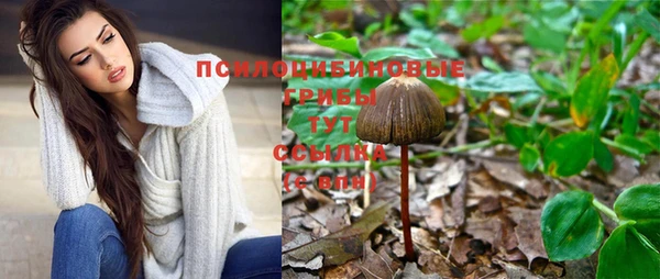 сатива Абинск