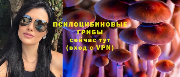прущие грибы Алексеевка
